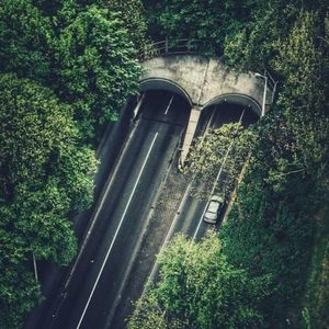 Meet your Posher, Cynthia